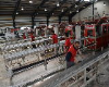 توسعه خطوط تولید گروه صنعتی کیان پن به 23 اکسترودر